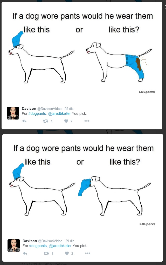 pantalones perro modified
