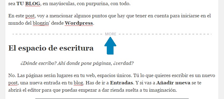wordpress-barra-etiqueta-more-vista