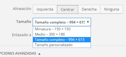 wordpress-imagenes-tamano